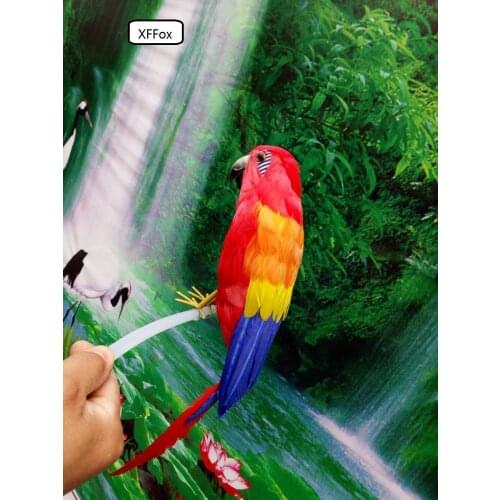 Real life orange&red parrot model foam&feather simulation parrot bird gift about 40cm xf0223