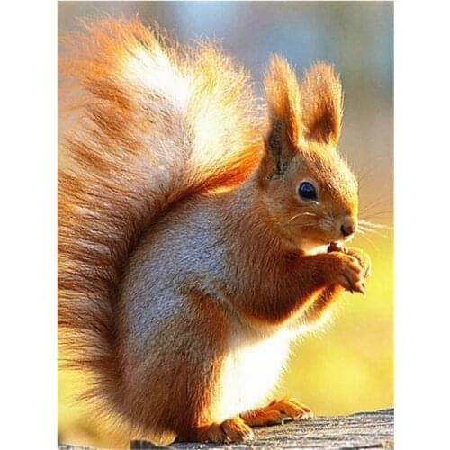 Animals diamond painting squirrel square embroidery picture mosaic poster children toy diamond art drawing wall sticker decor