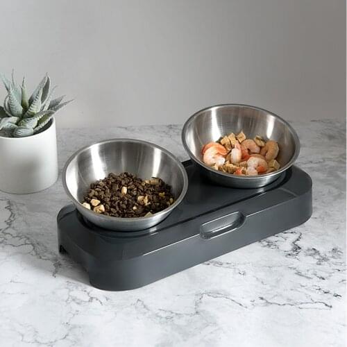 Stainless Steel Pet Bowl Cat Double Bowls With Raised Stand Non-slip Feeder Easy Clean For Small Medium Dog Cats Feeding Dishes