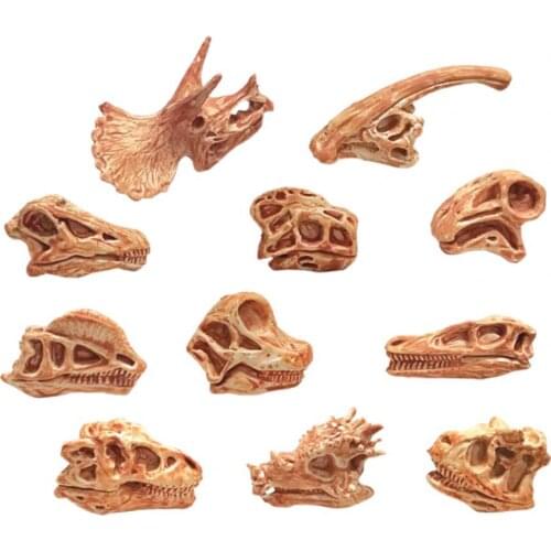 Dinosaur Skull High Simulation Aquarium Decor Plastic Fossil Teaching Skeleton Model for Collectors
