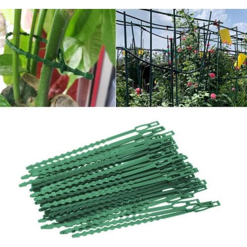 30/50/100Pcs Reusable Garden Cable Ties Plant Support ShrubsClimbing Fastener Fruit Tree Locking Nylon Adjustable Plastic Tools