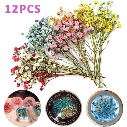 12Pcs Decorative Dried Flowers Dry Handmade Flowers DIY Epoxy Resin Filler Crafts DIY Gift Packaging Decor Photography Props