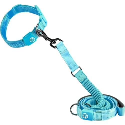 Nylon LED Light Up Pet Collar Luminous Fluorescent Dog Lead Night Safety Flashing Glow In Dark Multi-color Dog Collars Leashes