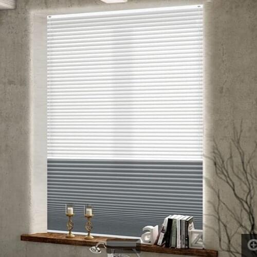 DayNight Dual Cellular Shades Honeycomb Blinds Window Pleated Curtains (Top Down Bottom Up) Smart Double Chains Mechanism