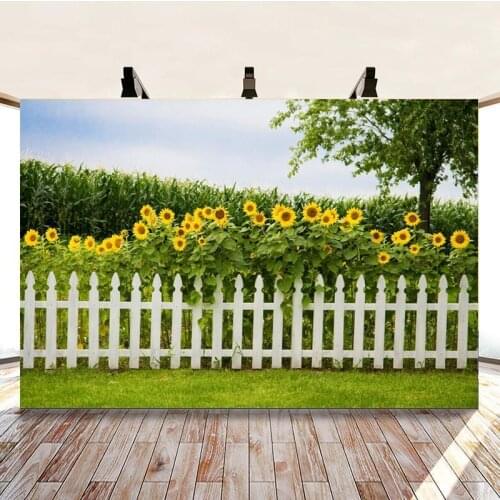 Blue Sky White Clouds Sunflower Cornfield Scenery Picture Background Studio Photography Photo Cloth Can Be Customized