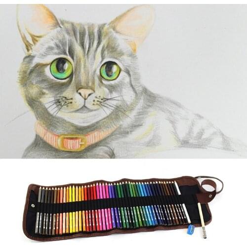 48 Art Colored Pencils Set with Portable Canvas Pencil Wrap Pouch for Adult Coloring Books Drawing Writing Sketching Doodlings