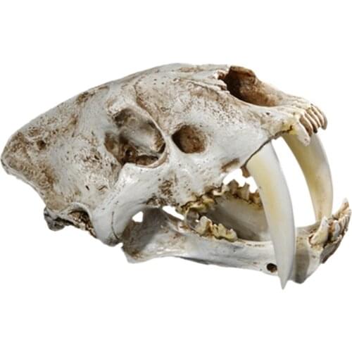 Lifelike Saber-toothed Tiger Skull For Masquerades, Balls, Costume Parties, Carnivals