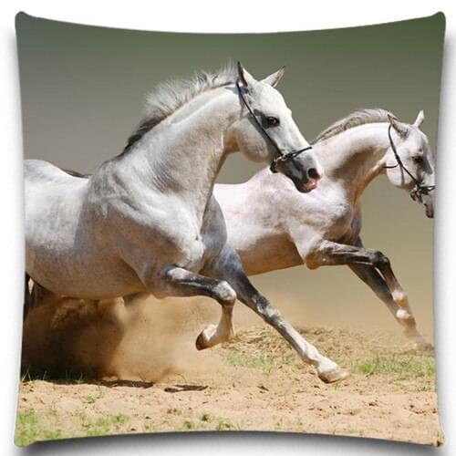 Hot Sale pillows case Cotton polyester Square Home Decorative Throw Pillow Cover Cushion cover