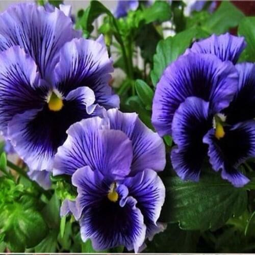 Diamond Painting Purple Iris Flower Cross Stitch Kit Diamond Embroidery For Decoration Of Needlework Kits Punto De Cruz Bordado