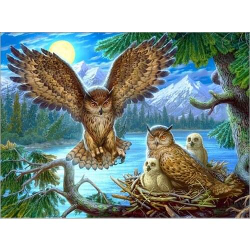 Counted Cross Stitch Kits Needlework Embrodery - Crafts 14 ct Aida Color DIY Arts Handmade Home Decor - Owl Family 2