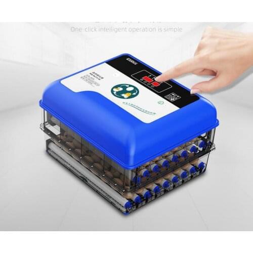 Incubator Small Water Bed Domestic Chicken, Duck, Goose, Quail And Egg Incubator Automatic Intelligent Mini Constant Temperature