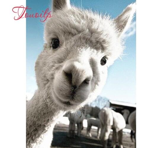 TOUOILP 5D DIY Diamond Painting Full Alpaca Animal Embroidery Sale Rhinestone Picture Diamond Mosaic Home Decor Dropshipping