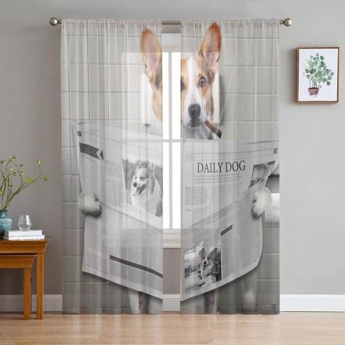 Animal Corgi Reading Newspaper Funny Voile Tulle Sheer Curtains for Bedroom Living Room Kitchen Decor Chiffon Windows Curtain