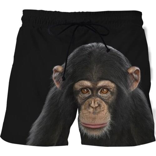 Summer Mens Anime Swimwear Quick-drying Swimsuit Male Animal Graphic Beach Boxer Shorts 3D Printing Casual Sports PantsXXS-6XL