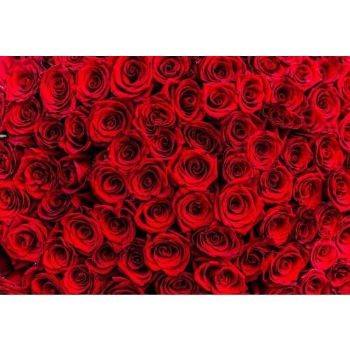 Valentine Backdrop for Photography Rose Flower Party Decoration Photo Background Valentines Day Wall Hanging,2 Materials