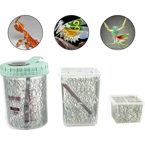 Universal Pet Supplies Reptile Breeding Box Clear Acrylic Reptile Terrarium Feeding Box For Spider Scorpion Snake Reptile Insect