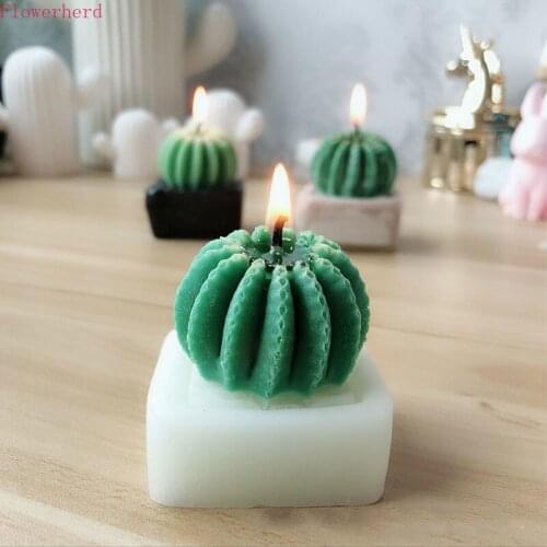 New Candle Tools Scented Candle Silicone Prickly Pear Candle Mold Succulent Cactus with Box Plaster Mold Handmade Cake Soap Mold