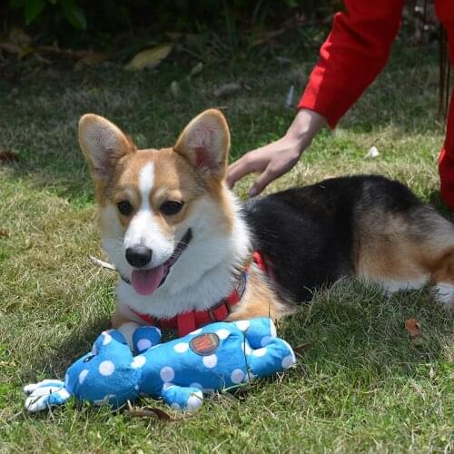 Charmingpet pet dog dog toys Retro-Rabbit Hippopotamus pig crocodile pet toys pet training Squeak Toys