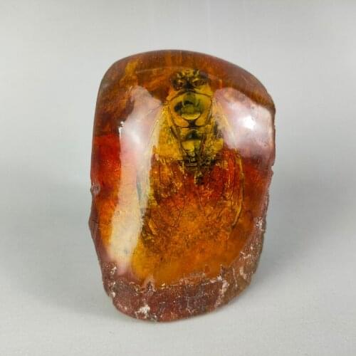 Elaborate Interesting Rare Chinese Collection Home Decoration Gift Amber Resin Cicada Statue Craft