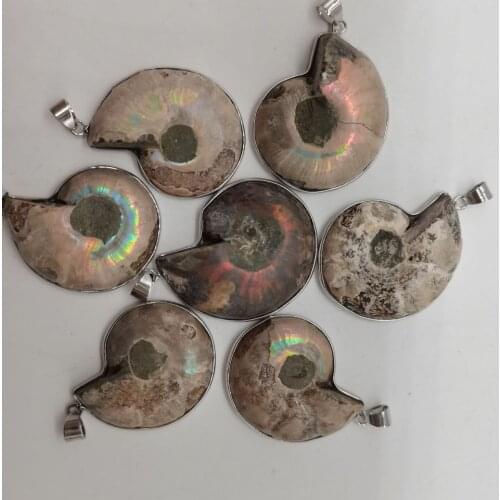 Fashion Natural Stone Ammonite Snail Seashell Fossils Pendants for Jewelry Accessories Making