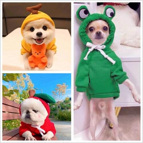 Super Cute Pet Clothes Small Dog Hoodie Winter Chihuahua Dog Sweatshirt Pet Products Puppy Clothes Yorkshire Terrier Dog Costume