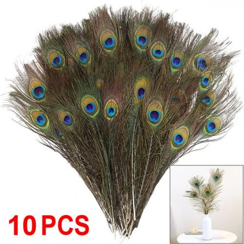 10Pcs Decorative Peacock Feather DIY Jewelry Clothing Hat Craft Making Wedding Party Wreath Peacock Feathers House Decorations