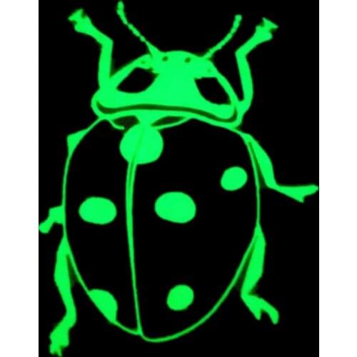 Ladybug Patches Luminous Apparel Accessories Clothing Thermal Transfer Paper Iron Ons Sticker for Clothes Diy Fluorescence Patch