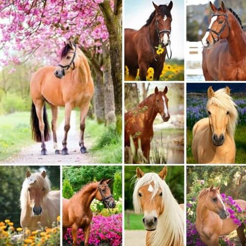 DIY 5D Horse Diamond Painting Rhinestone Picture Full Diamond Embroidered Animal Horse Mosaic Wall Sticker Cross Stitch Gift Kit
