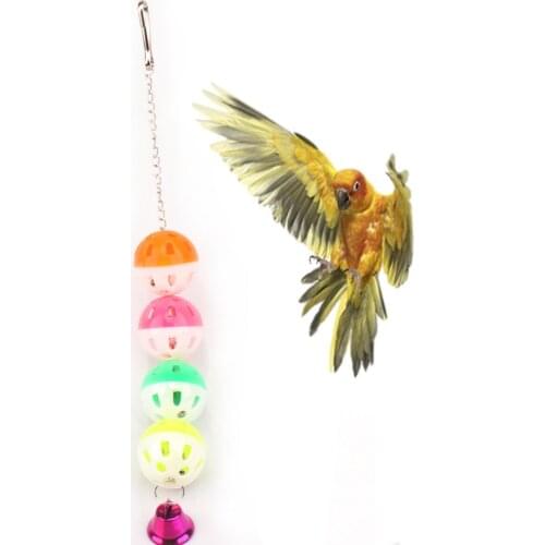 Bird Toys Cage Accessories Budgie Pet Cockatiel Toys Parrot jouet perroquet vogel speelgoed
