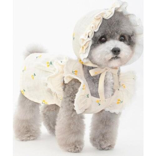 Dog Dress Hat Cap Summer Cat Dog Dresses Skirt Outdoor Travel Pet Clothing Puppy Yorkshire Pomeranian Poodle Bichon Dog Clothes