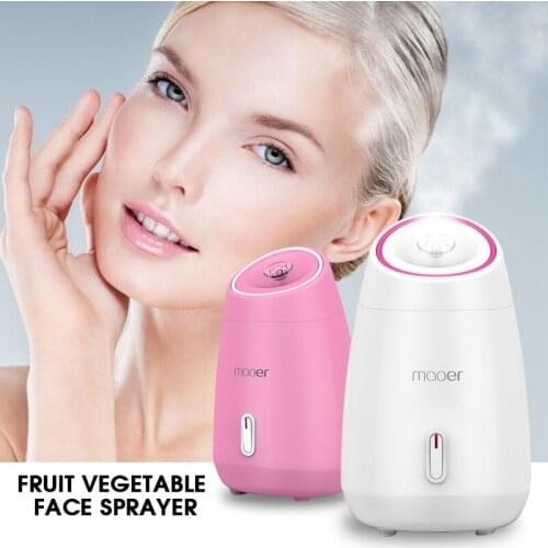 SPA Natural Fruit Facial Steamer Sauna Nano Mist Sprayer Moisturizing Face Thermal Humidifier Deep Beauty Instrument Home Use