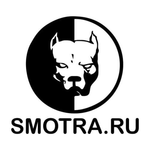 13.8*15cm adesivo no carro pitbul smotra engraçado adesivo de carro e decalque prata/preto vinil carro auto adesivos N2266