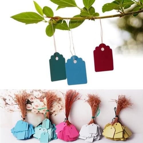 2.5*3.5cm Plastic Plant Labels Waterproof Strip Line Garden Signs Hanging Tags Pot Markers Garden Tools 100Pcs/bag