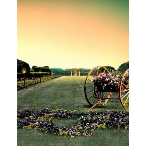 TR Sunset Sky Wedding Photography Studio Backdrops Flowers Cart Grass Road Nature Photos Backgrounds Romantic Wedding Backdrops