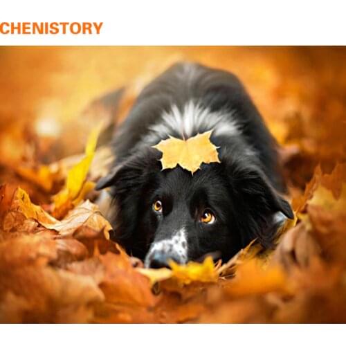 CHENISTORY Maple Leaf Dog DIY Painting By Numebrs Animals Calligraphy Painting Modern Home Wall Art Hand Painted For Home Decors