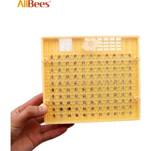 1pc Beekeeping Queen Rearing System Bees Tools For Beekeeper Apiculture High Quality Plastic Honeycombs Queen Bee Cage