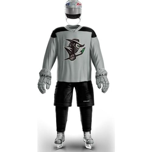 Cool Hockey Free Shipping Vintage Ice Hockey Training Jerseys Set Print knights Logo Spot Cheap high quality H6100-4