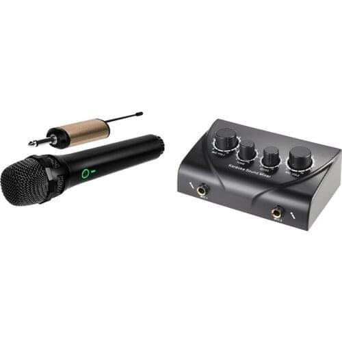 RUIZU Microphones