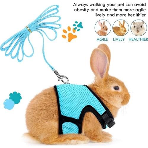 Pet Mesh Harness With Leash Small Animal Harness Vest Lead for Hamster Rabbit Guinea Pig Small Animal Accessories Pet Lead Set