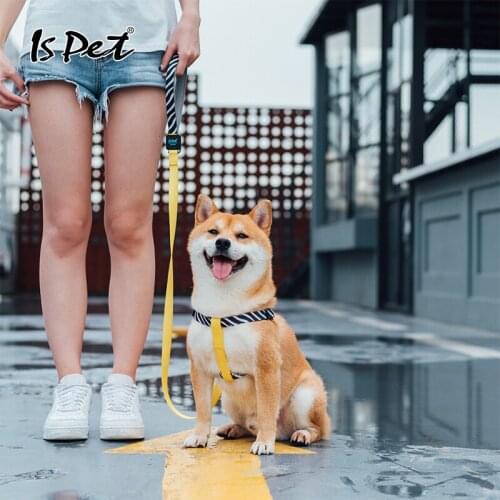 Pet Dog Leash And Collar Set Correa Perro Grande Pitbull French Bulldog Beagle German Shepherd Labrador Samoyed Dog Accessories