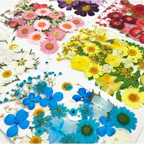 DIY Dried Flowers Resin Mold Fillings UV Expoxy Flower for Nail Art Pressed Flowers for Home Decor Handicraft