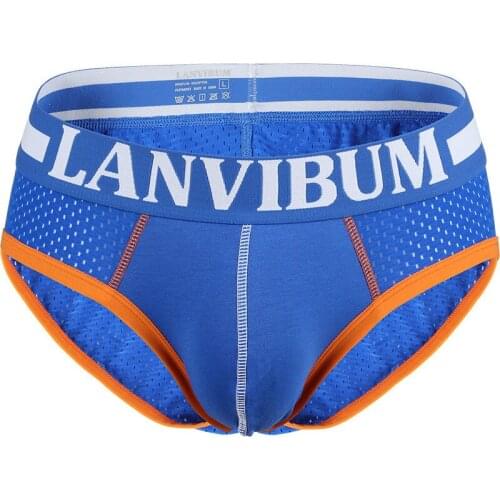 2019 LANVIBUM Classic Underwear Men Mesh Underpants Cueca U Pouch Male Panties Mens Briefs Ropa Interior Hombre