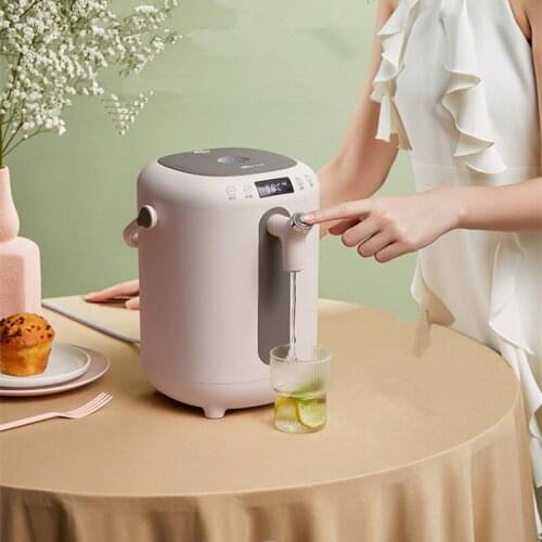 Thermostatic Kettle Electric Kettle Electric Kettle Anti Scalding and Dechlorination 11 Section Thermal Insulation 220V