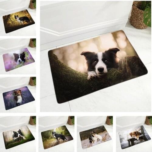 Scotland Border Collie Floor Door Mat Decor Pet Dog Animal Non-Slip Doormat Soft Flannel Carpet for Hallway kitchen Room 40x60cm