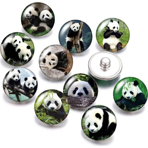 Horse Panda Swan giraffe Tiger Animals 18mm snap buttons 10pcs mixed round photo glass cabochon style for snap button jewelry