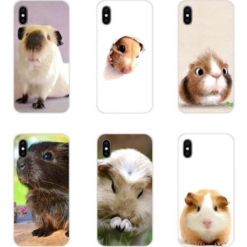 Cute animal Guinea pig For Samsung Galaxy A3 A5 A7 A9 A8 Star A6 Plus 2018 2015 2016 2017 Accessories Phone Shell Covers