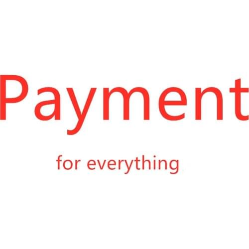 Payment for Everything