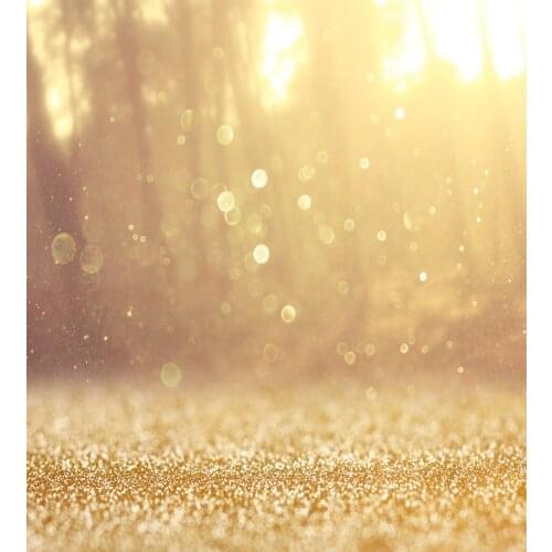 VinylBDS Digital Printing Photography Backdrops Fantasy Gold Bling Bling For Children Birthday Photographic Background