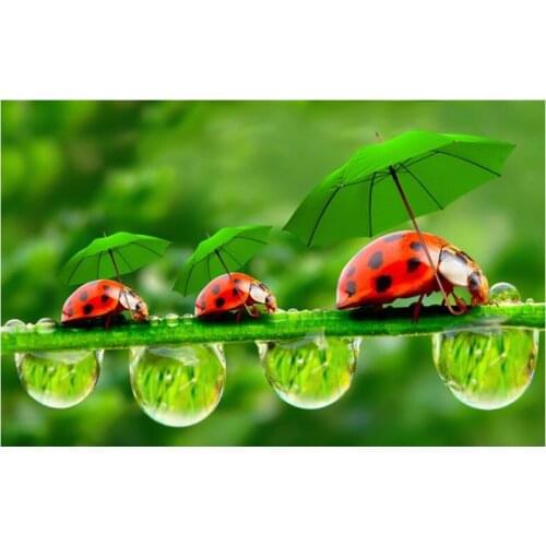 Diamond Painting Cross Stitch Ladybug and Green Leaves Diamond Embroidery 5D DIY Diamond Painting Rhinestone Mosaic DM2030