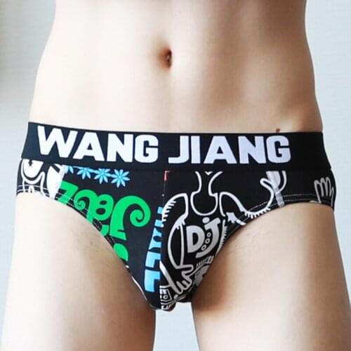 Men Underwear Briefs Shorts Printed Male Nylon Soft Sexy Breathable Calzoncillos Underpants